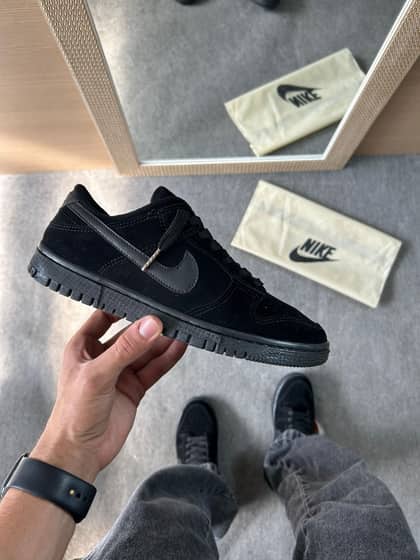 Dunk low pro