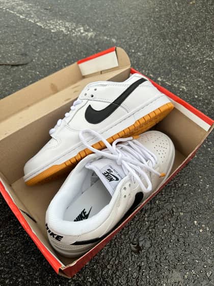 Dunk low pro