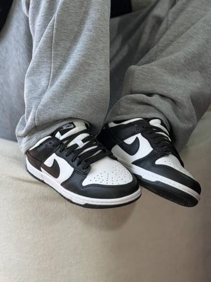 Dunk low pro