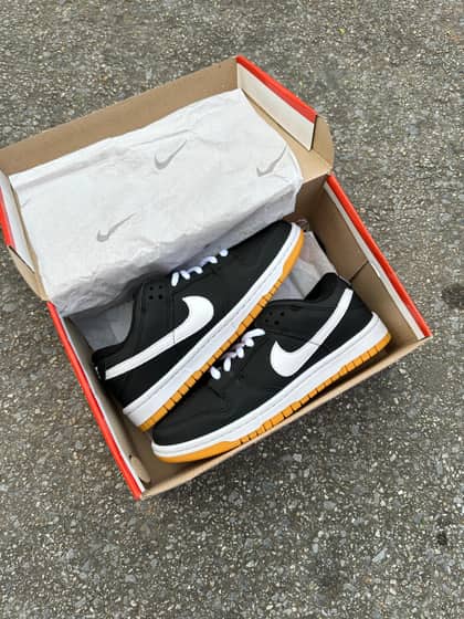 Dunk low pro