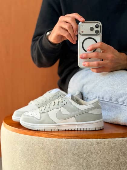 Dunk low pro