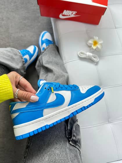 Dunk low pro