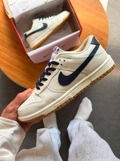Dunk low pro