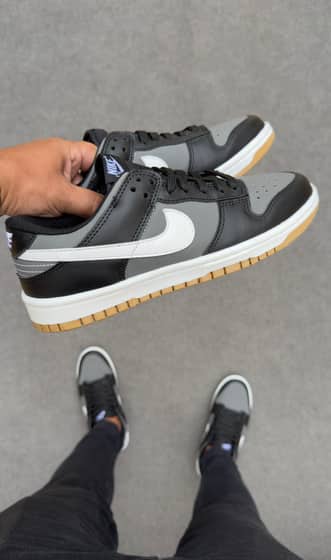Dunk low pro