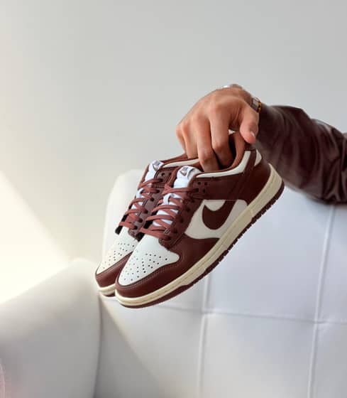 Dunk low pro