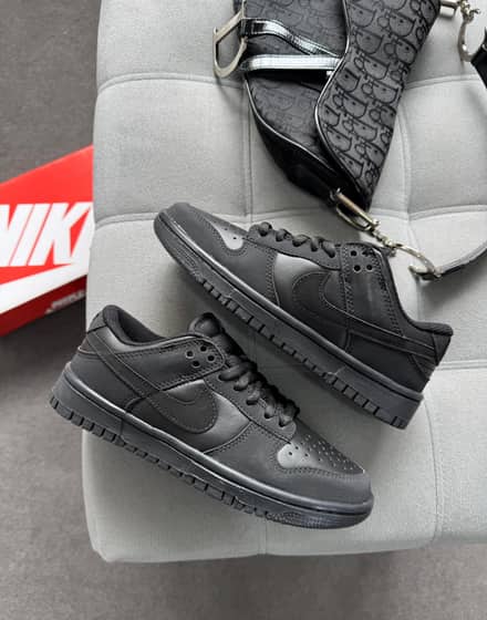 Dunk low pro