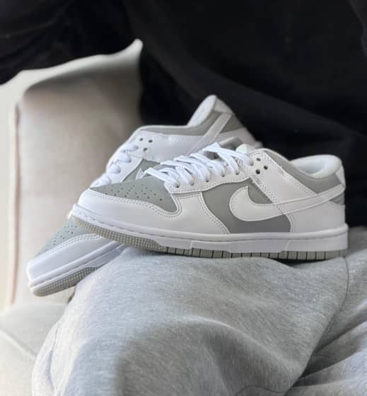 Dunk low pro