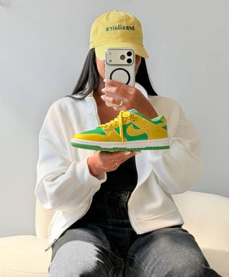 Dunk low pro