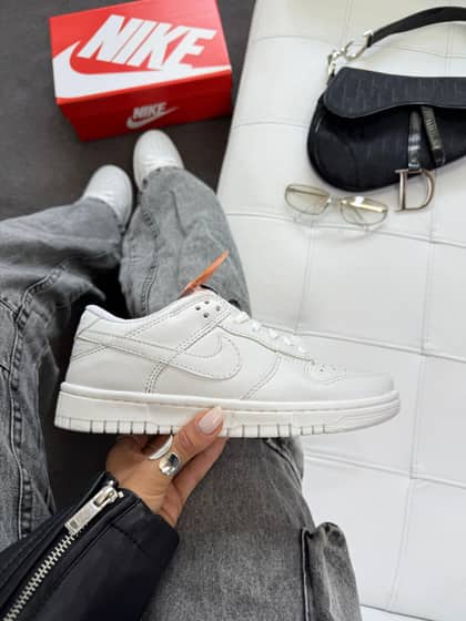 Dunk low pro