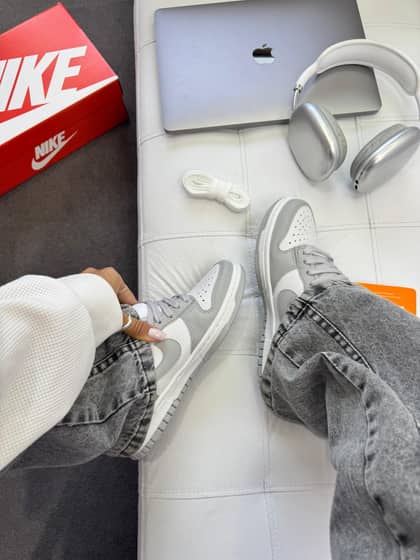 Dunk low pro