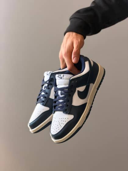 Dunk low pro