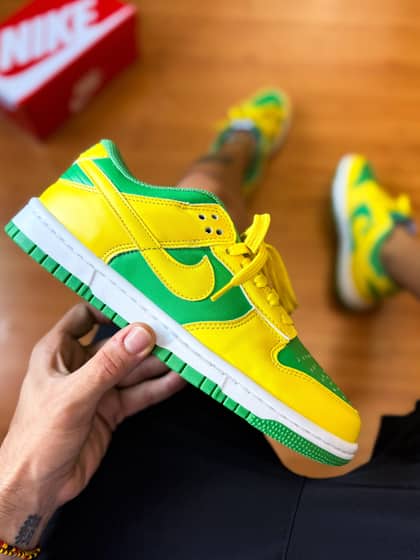 Dunk low pro