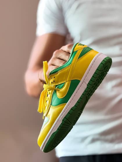 Dunk low pro