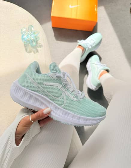 Nike Pegasus 39 ( linha básica )