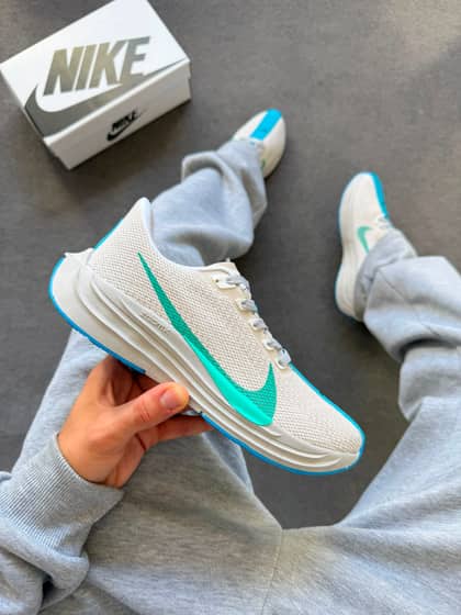 Pegasus plus